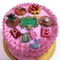 Baby First Feeding Cake - 4.5 Kg