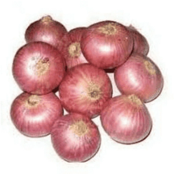 Nashik Onion Sorted