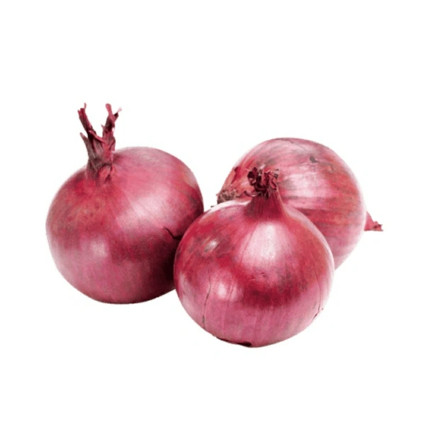 Onion Large 
