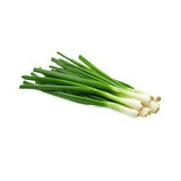 Spring Onion 