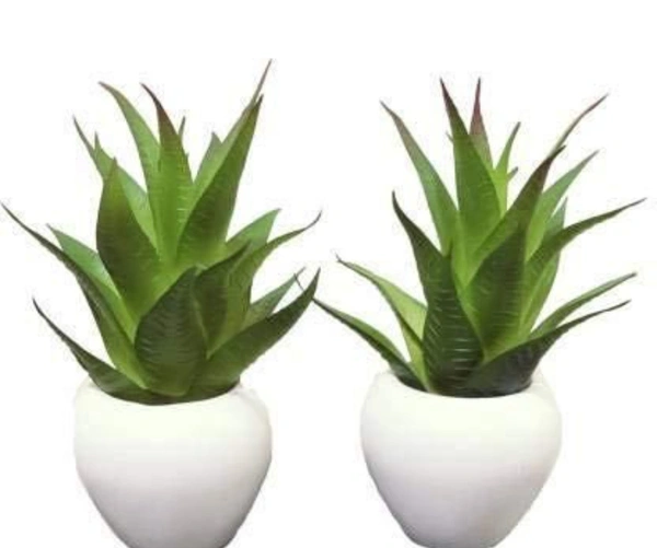 *Trendy Artificial Plants* (2 Pcs)