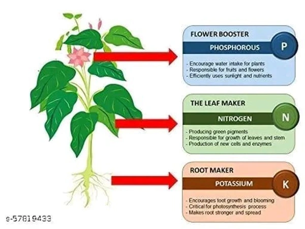 OEHB Organic Mustard Oil Cake 450g and Neem Cake Powder 450g for Home Garden, Potting Plant Growth Nutrient