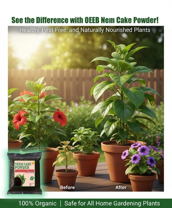 OEHB Neem Cake (Neem Khali) Powder Form 450gm