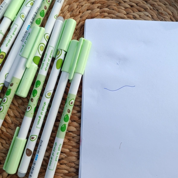 Erasable Pen 2pc Pack 