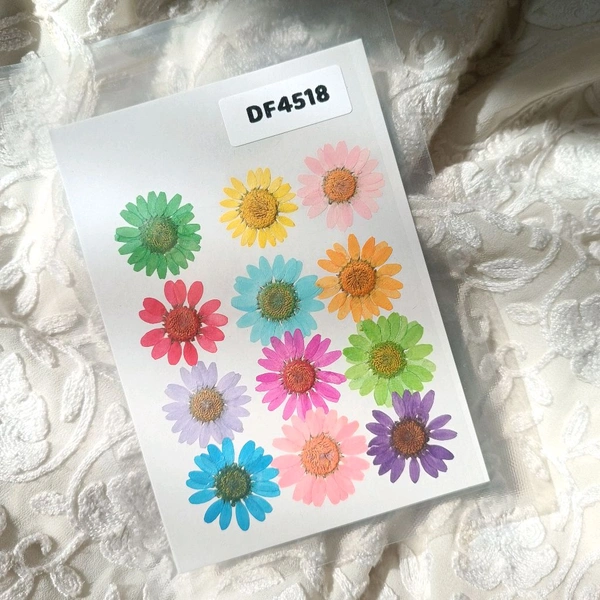 Daisy Dry Pressed  Flower Multi 