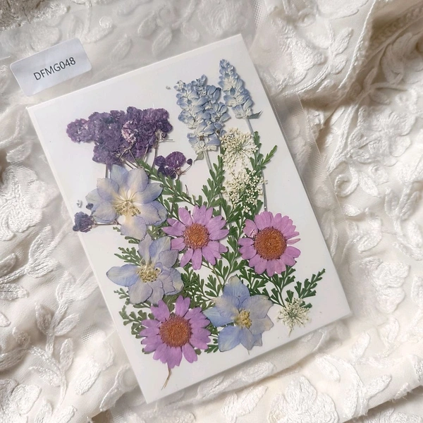 Dry Pressed Flower Pack 
