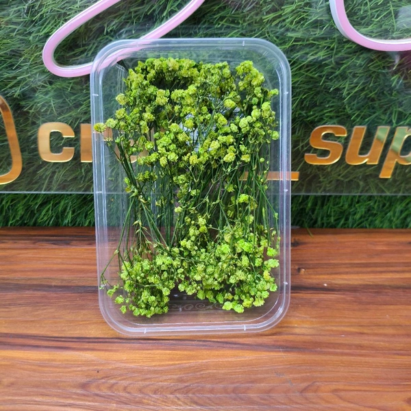 Baby Breath Box / GPSY
