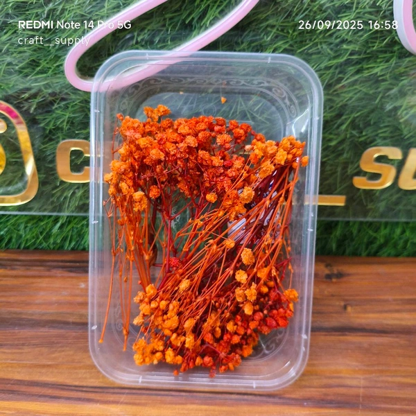 Baby Breath Box / GPSY