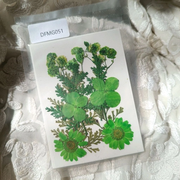 Dry Pressed Flower Pack 