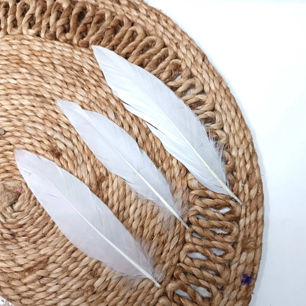 Feathers Pack Of 10 White 