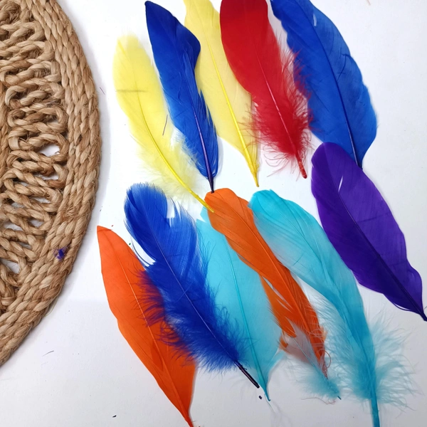 Feather Pack Of 10 Pcs Multi 