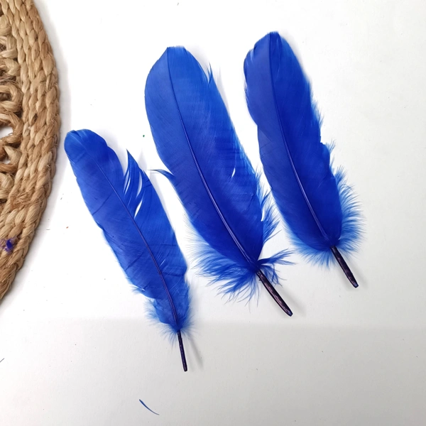 Feather Pack Of 10 Pcs Dark Blue 
