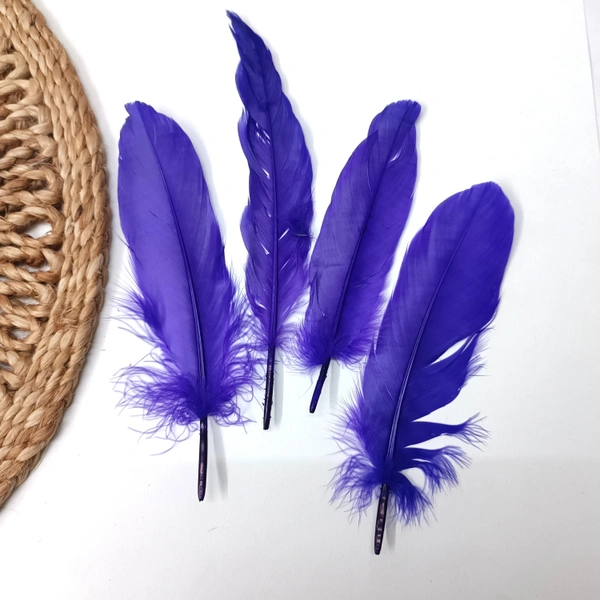 Feather Pack Of 10 Pcs Purple 