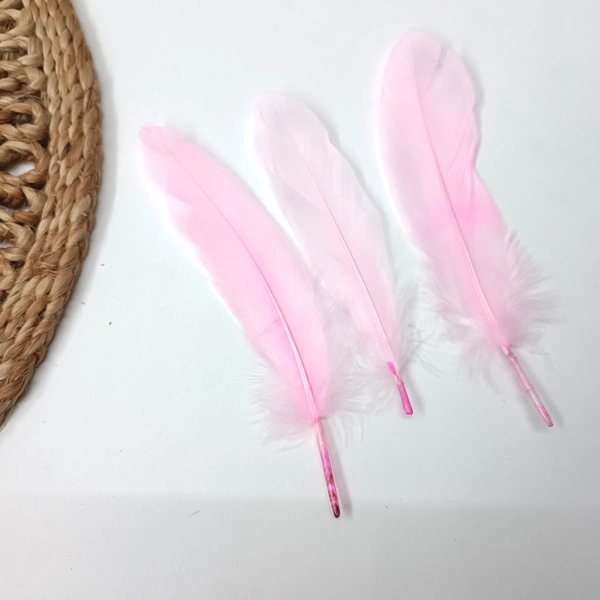 Feather Pack Of 10 Pcs Pink 