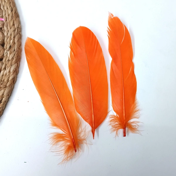 Feather Pack Of 10 Pcs Orange 