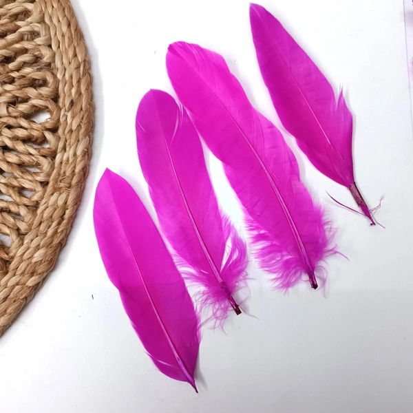 Feather Pack Of 10 Pcs Dark Pink 