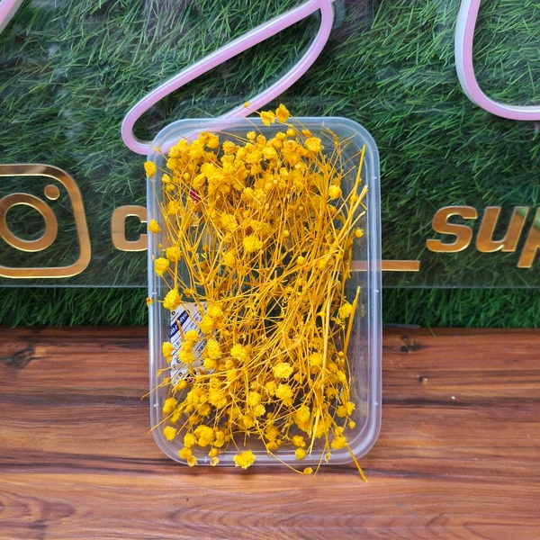 Baby Breath Box / GPSY