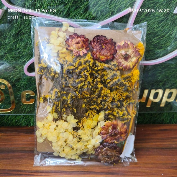 Dry Flower Big Pack 