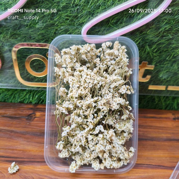 Dry Flower Box 