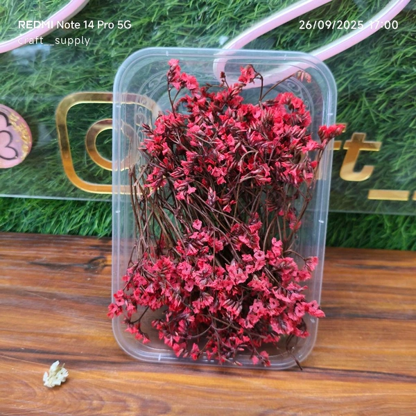 Dry Flower Box 