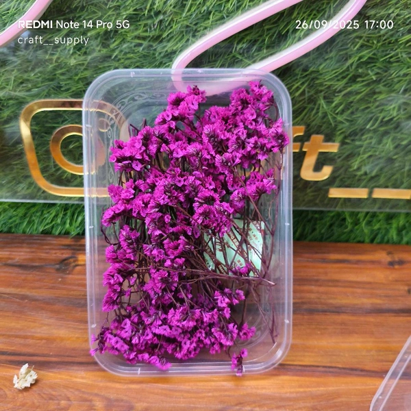 Dry Flower Box 