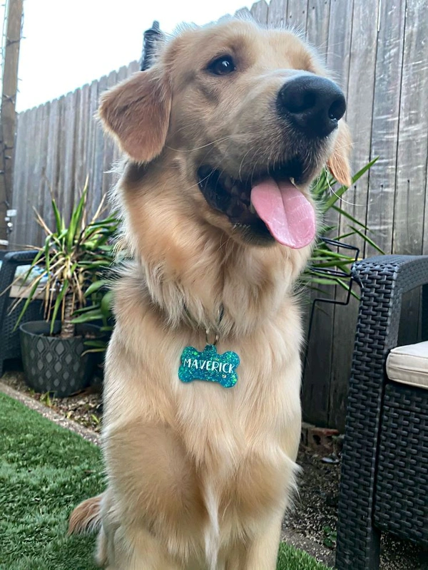 Dog Pendant / Name Tag Mold (2X1.5") Inch 