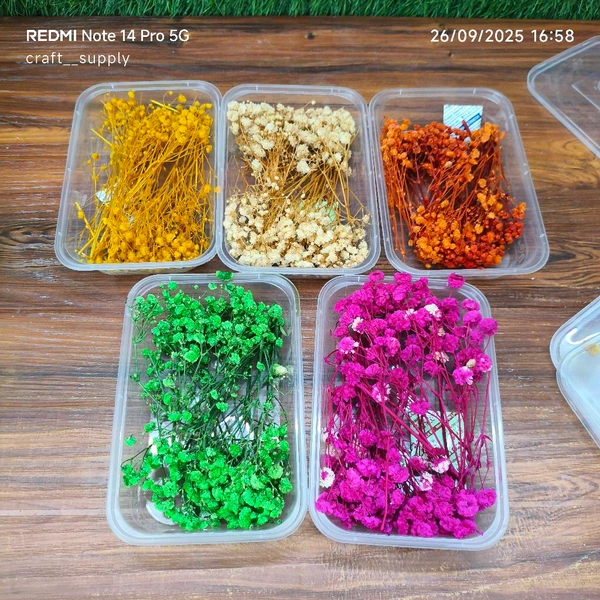 Dry Flower Box Combo Of 10 Mix Boxes 