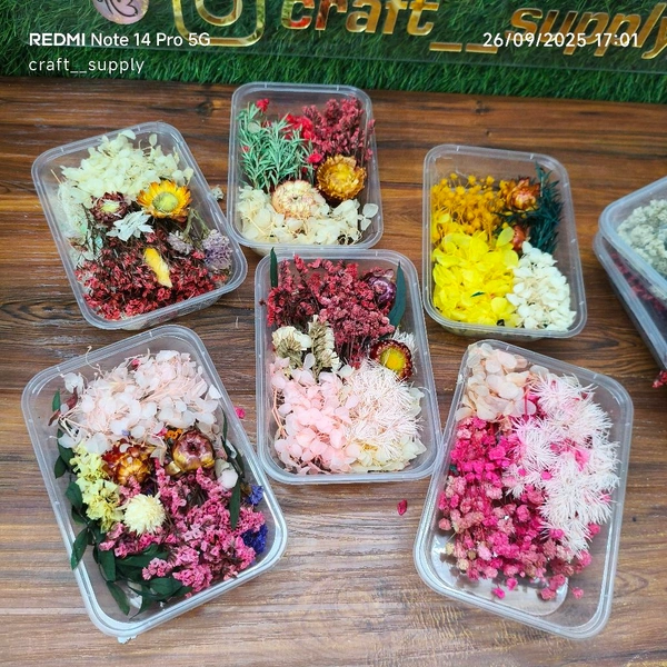 Dry Flower Box Combo Of 10 Mix Boxes 