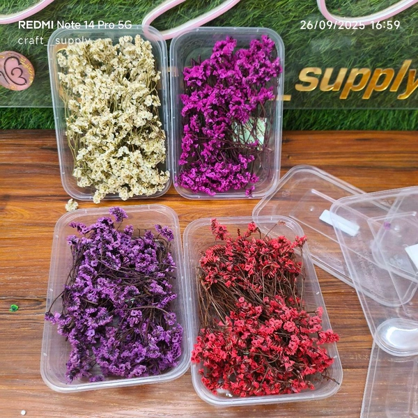 Dry Flower Box Combo Of 10 Mix Boxes 