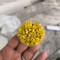 Tiny Daisy Dary Flower Yellow 