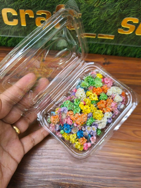 Himalayan Daisy Dry Flower Box 