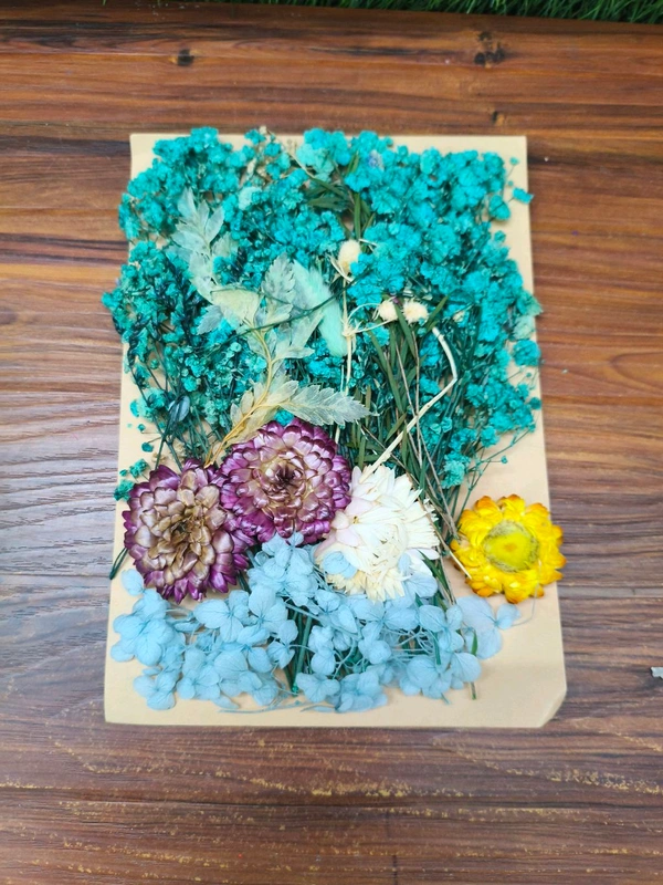Dry Flower Big Pack 
