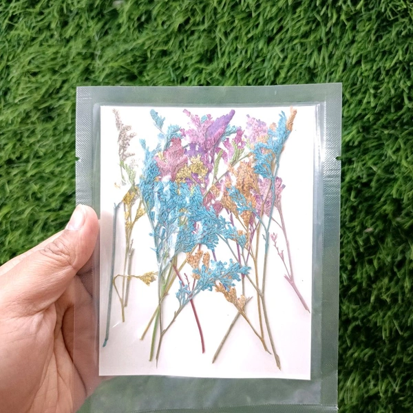 Dry Pressed Multi Grass Flower 