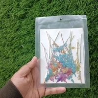 Dry Pressed Multi Grass Flower 