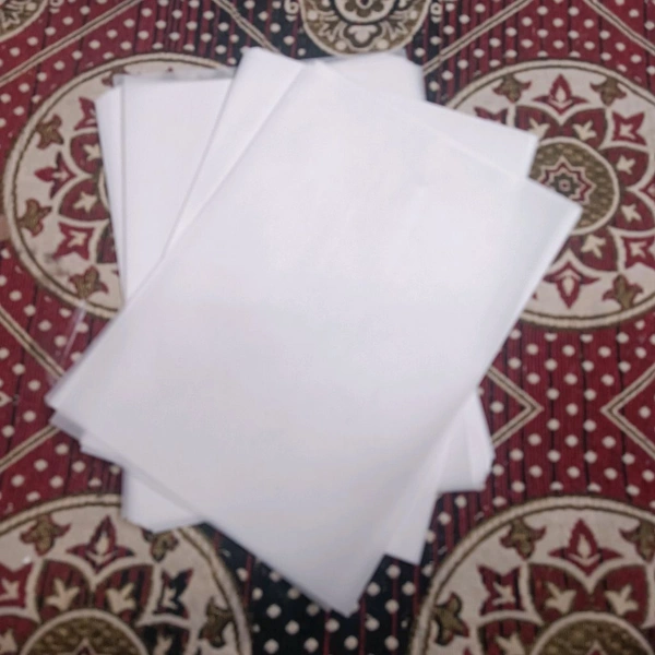 A4 Vellum Paper (10 Sheets) 