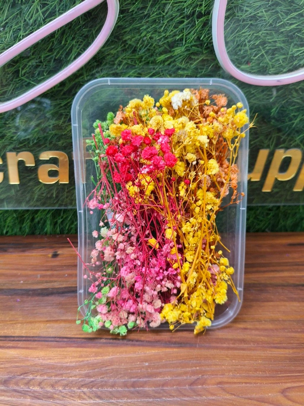 Dry Flower Multi GPSY Box And Baby Breath 