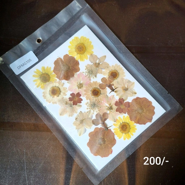 Dry Pressed Flower 