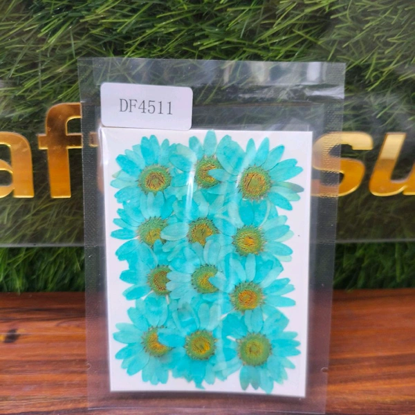 Daisy Dry Pressed Flower Teal