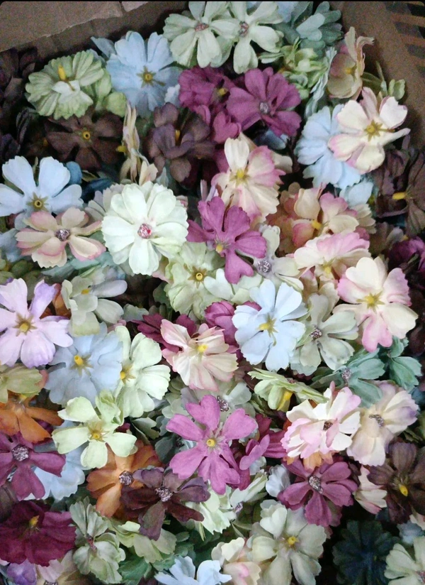 Multi Cosmo Pack Of 20 Pcs