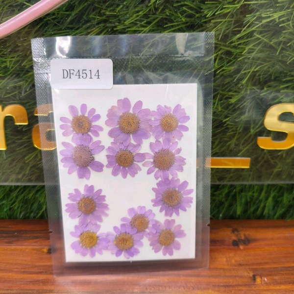 Daisy Dry Pressed Flower Lavender 