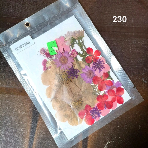 Dry Pressed Flower 