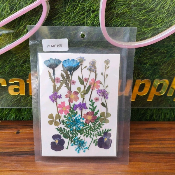 Dry Pressed Flower 