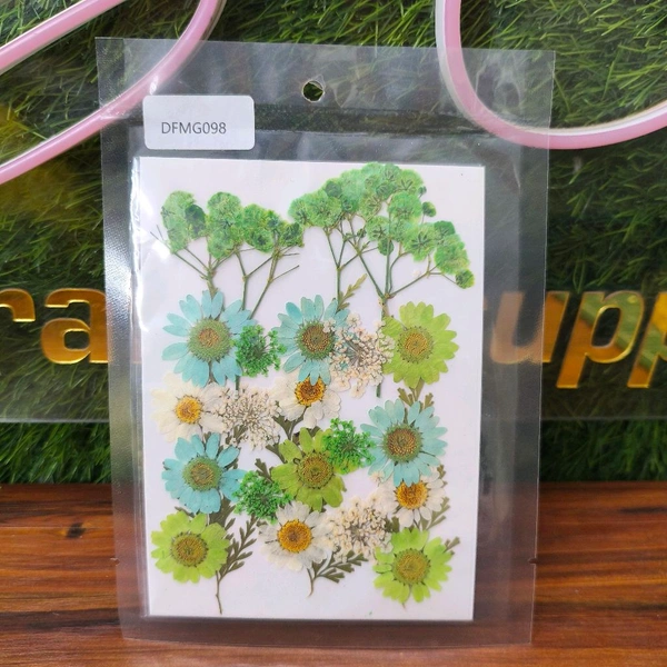 Dry Pressed Flower 
