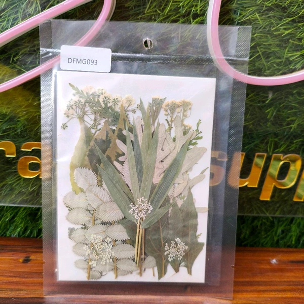 Dry Flower Leaves Pack 