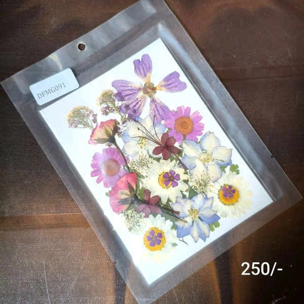 Dry Pressed Flower 