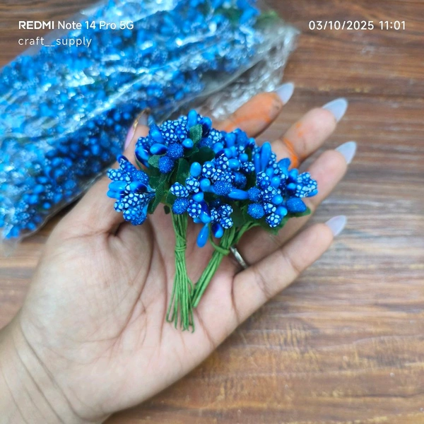 Pollen Bunch Of 12 (144 Pc) Dark Blue 