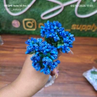 Pollen Bunch Of 12 (144 Pc) Dark Blue 