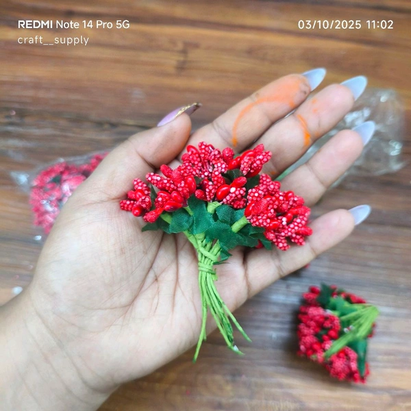 Pollen Bunch Of 12 (144 Pc) Red 