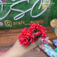 Pollen Bunch Of 12 (144 Pc) Red 