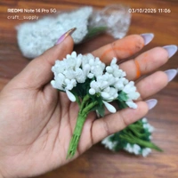 Pollen Bunch Of 12 (144 Pc) White 
